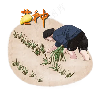 二十四节气之芒种手绘老人插秧P