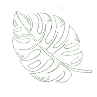 卡通手绘铅笔画芭蕉叶