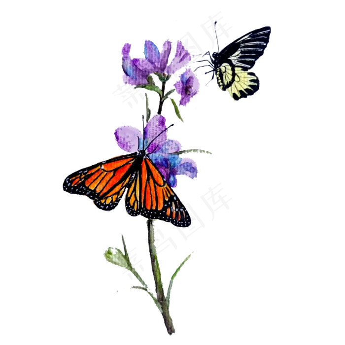 春天蝴蝶装饰花PNG彩色,免抠元素(3000X3000(DPI:300))psd模版下载