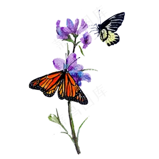 春天蝴蝶装饰花PNG彩色,免抠元素