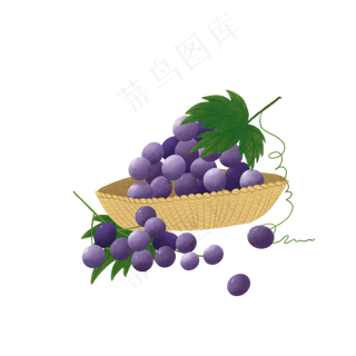 紫色葡萄提子水果鲜果夏日甜蜜P