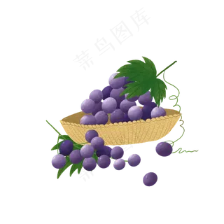 紫色葡萄提子水果鲜果夏日甜蜜P