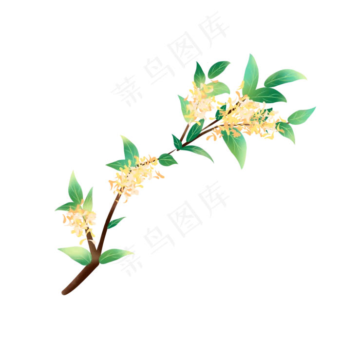 写实水彩桂花树枝(2000X2000(DPI:96))psd模版下载