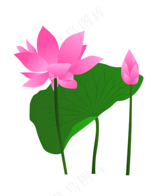 矢量卡通粉色莲花