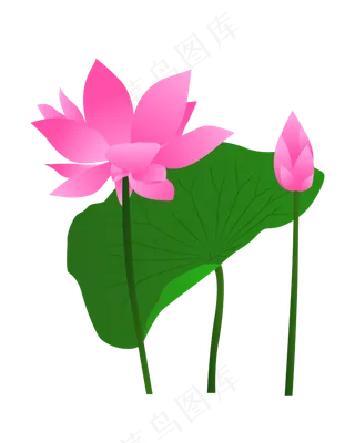 矢量卡通粉色莲花