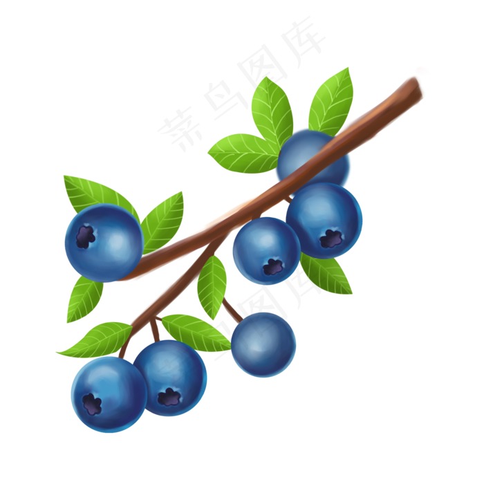 蓝色的蓝莓
