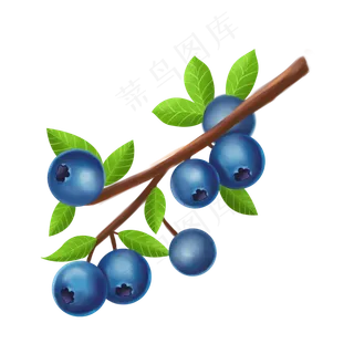 蓝色的蓝莓 蓝色的蓝莓