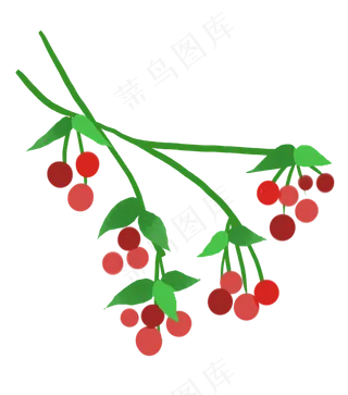 荔枝水果小满节气