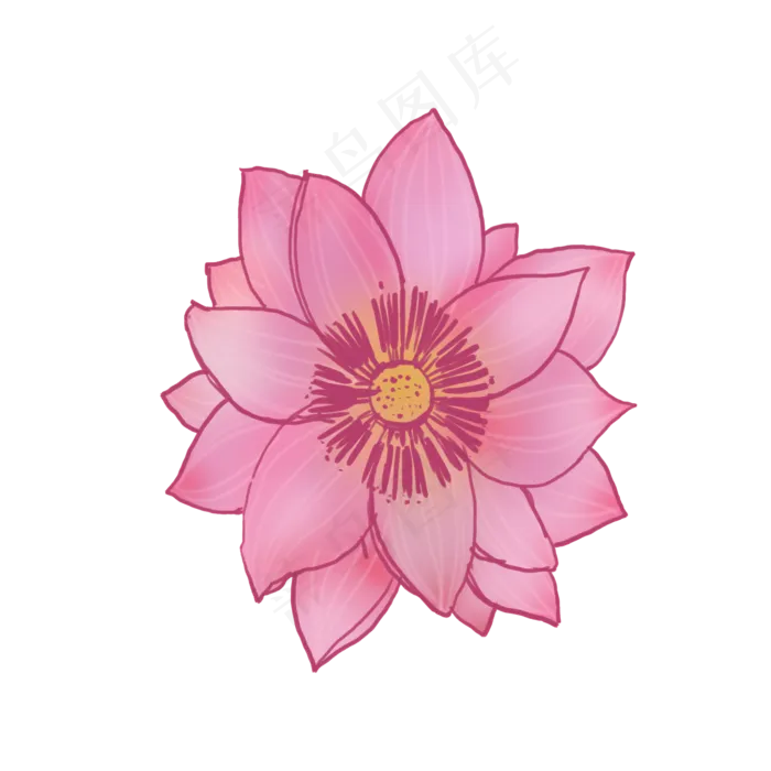 红色水芙蓉俯视图荷花(2000X2000(DPI:300))psd模版下载