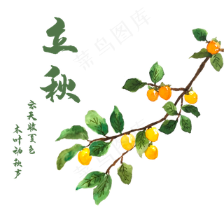 立秋农历时节金黄果子,免抠元素