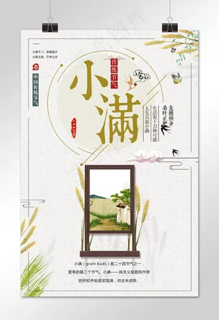 小满  节日素材 二十四节气 中华传统节日 简约