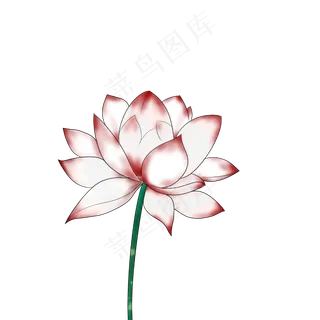 荷花春天清明节手绘装饰