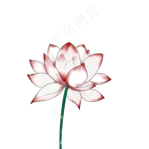 荷花春天清明节手绘装饰
