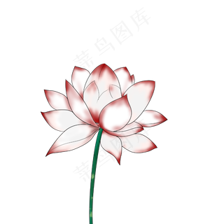 荷花春天清明节手绘装饰