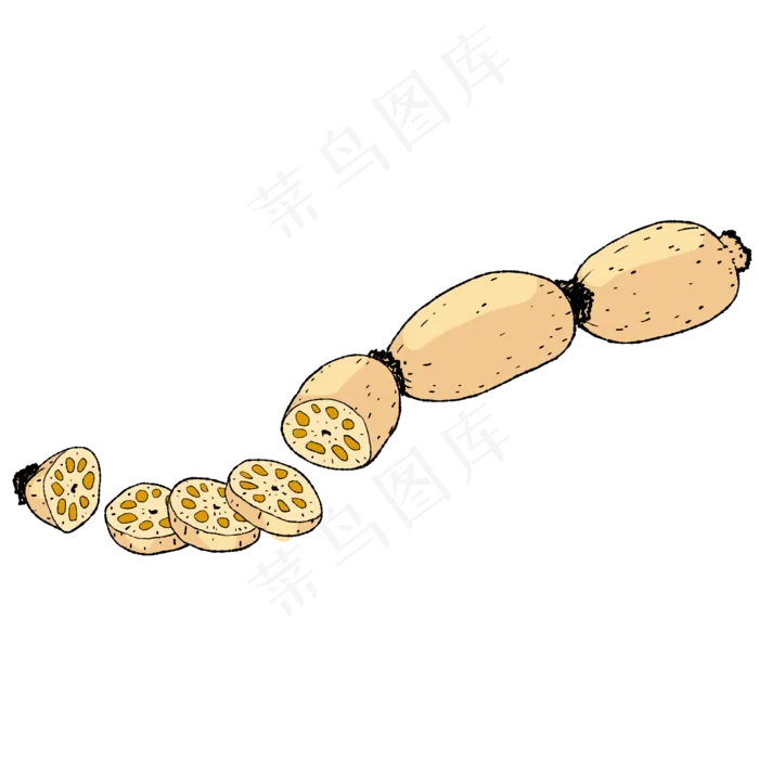 藕片根茎蔬菜植物(2000X2000(DPI:300))psd模版下载