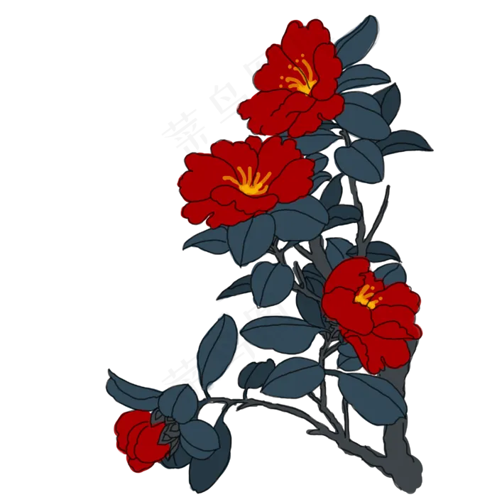 中国风手绘茶花卉插图(3000X3000(DPI:300))psd模版下载