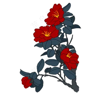 中国风手绘茶花卉插图