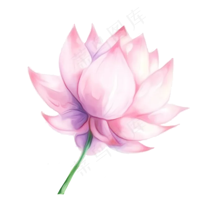 荷花荷叶莲蓬卡通(3000X3000(DPI:300))psd模版下载