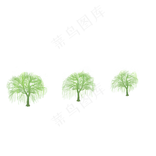 春天绿色的柳树枝叶生长