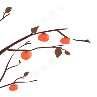 柿子树枝