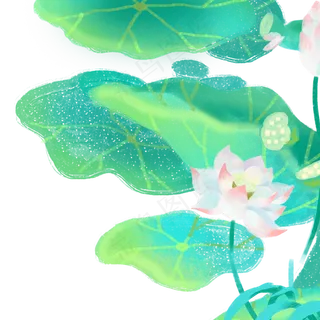 绿色植物荷叶元素