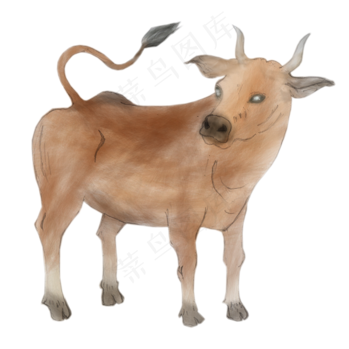 卡通中国风水彩老牛免抠png(2000X2000(DPI:300))psd模版下载