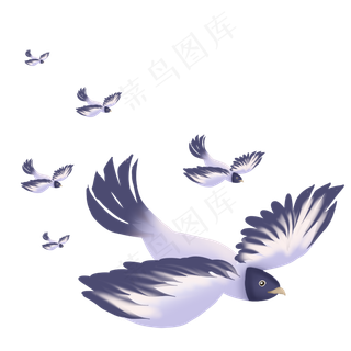 春季鸟类在天上成群飞翔,免抠元素