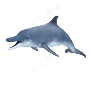 蓝鳍海豚,免抠元素