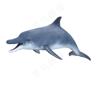 蓝鳍海豚,免抠元素
