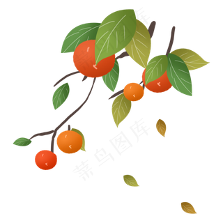 秋天秋日丰收蔬果柿子农作物落叶