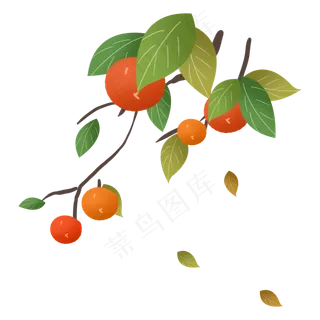 秋天秋日丰收蔬果柿子农作物落叶