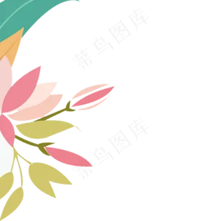 春天植物花朵 春天植物花朵