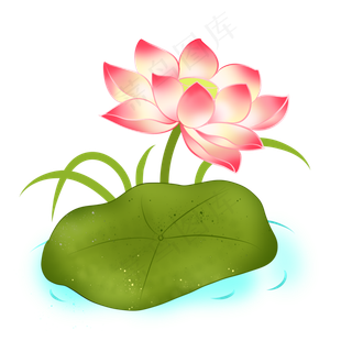 夏季荷花主题PNG免抠图装饰图案