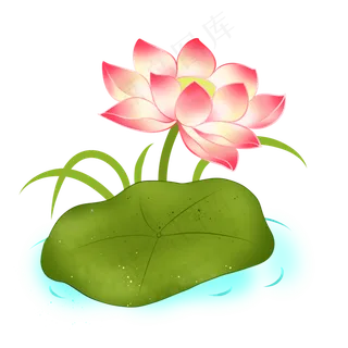 夏季荷花主题PNG免抠图装饰图案