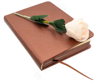 粉色玫瑰笔记本