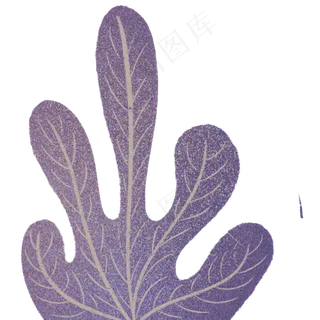 一只卡通的植物叶子