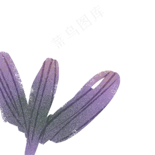 植物紫色叶子下载