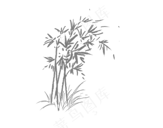 竹子文竹盆栽手绘