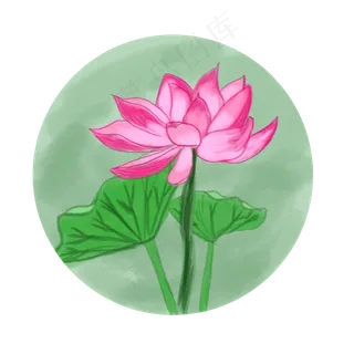 手绘荷花清新粉色手账素材厚涂商