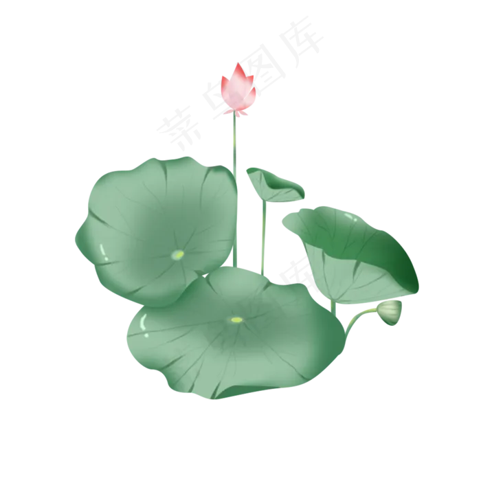 荷花荷叶绿色小清新手绘风元素(2000X2000(DPI:200))psd模版下载