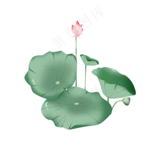 荷花荷叶绿色小清新手绘风元素