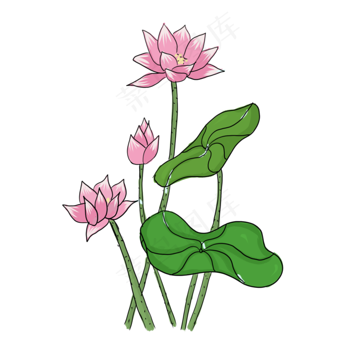 手绘中国风荷花PNG素材