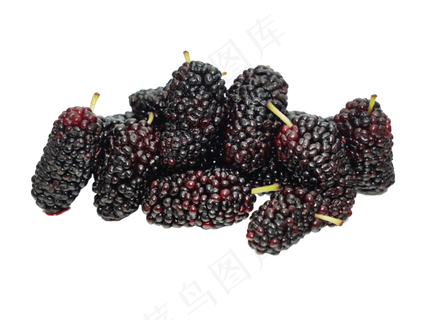 新鲜水果桑葚