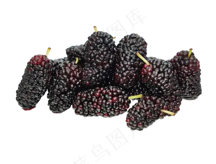 新鲜水果桑葚