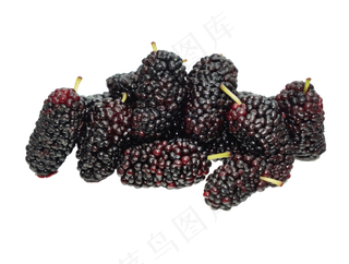 新鲜水果桑葚