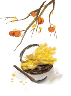 秋分秋收麦子和柿子,免抠元素