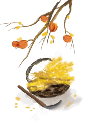 秋分秋收麦子和柿子,免抠元素