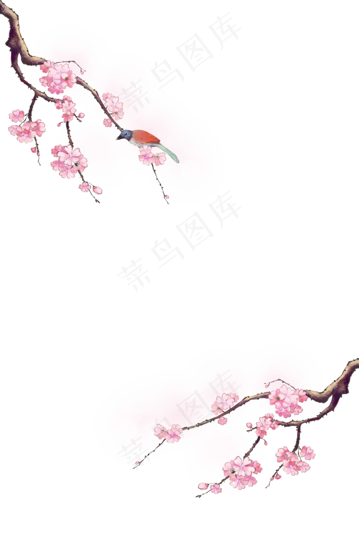 古风花鸟装饰梅花樱花边框,免抠元素(3545X5315(DPI:300))psd模版下载