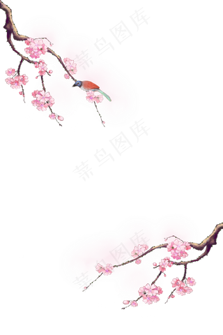 古风花鸟装饰梅花樱花边框,免抠元素