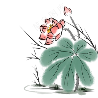 水墨清新夏天荷花